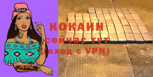 шишки Заволжье