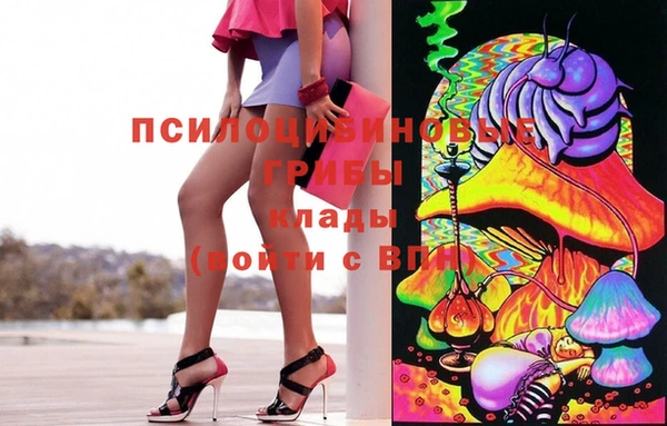 МДМА Ельня