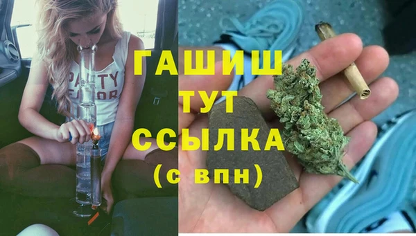 стафф Дмитров