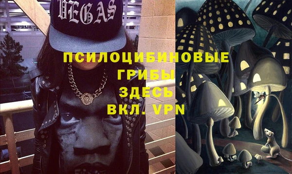 дурь Елизово