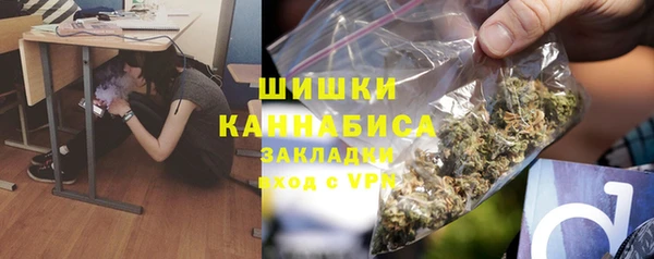 стафф Дмитров