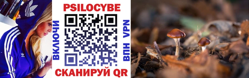 Псилоцибиновые грибы Psilocybe  Купить  Котельники 